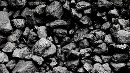 來賓市 大灣區企業入桂投資的水產新熱土