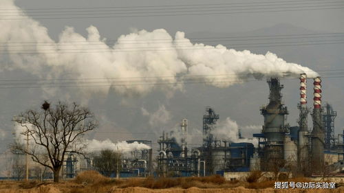 煤炭漲價與數據屏蔽 水產品行業的轉型之困